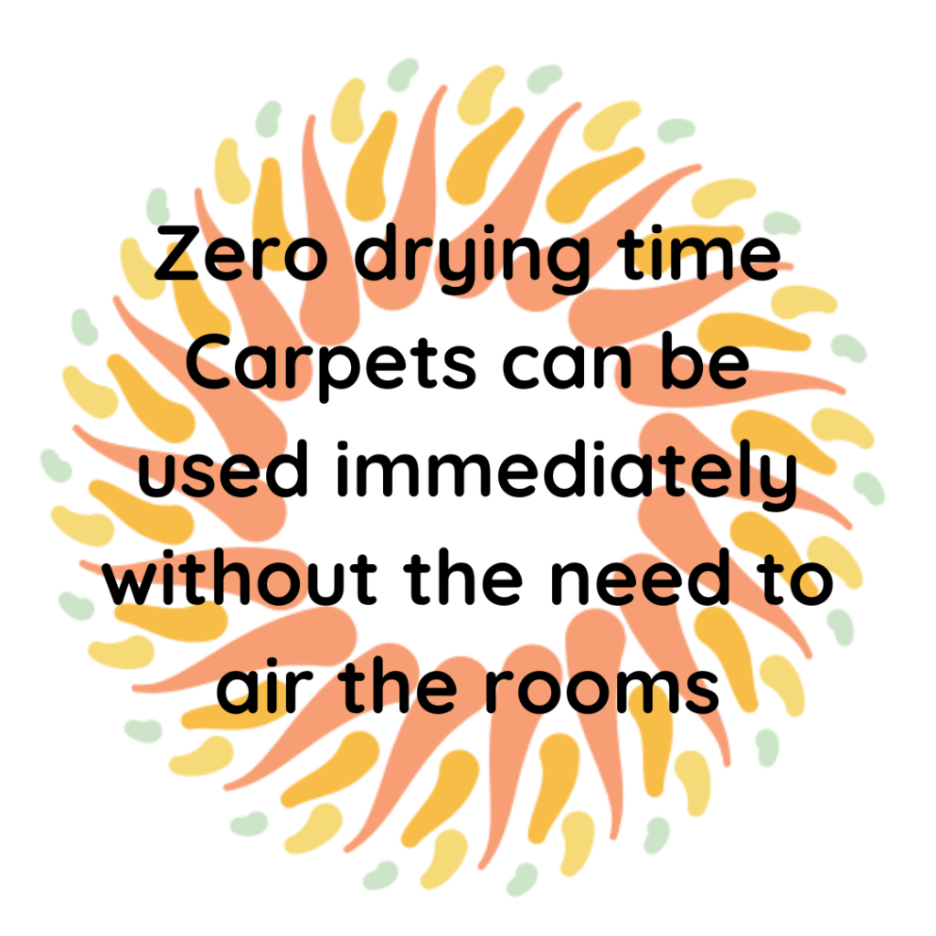 Carpet cleaning for your home with zero drying time